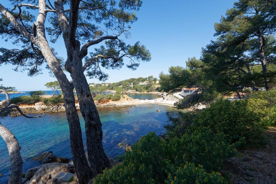 Snorkeling, Beach, Diving
