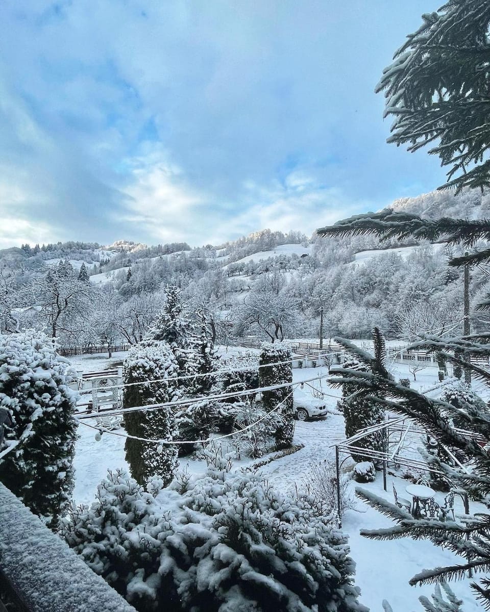 Winter, Garden