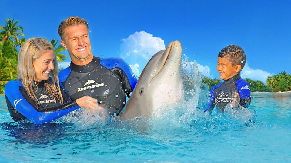 Activities, Aqua park, children, Family