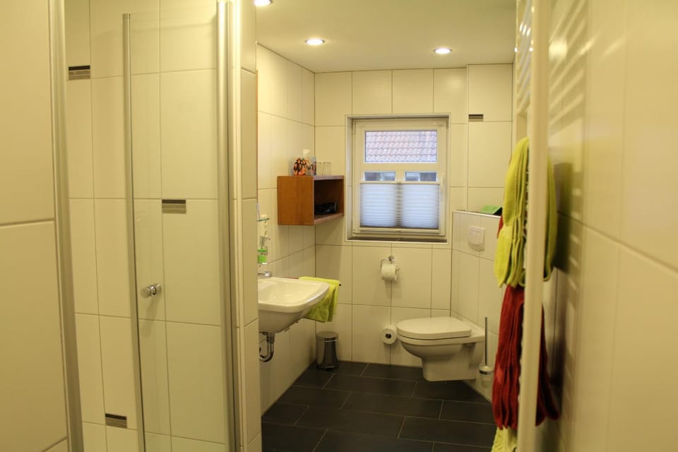 Shower, Toilet, Bathroom, Photo of the whole room