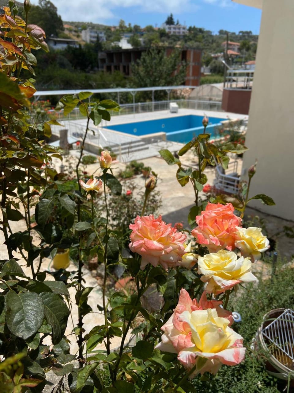 Pool view