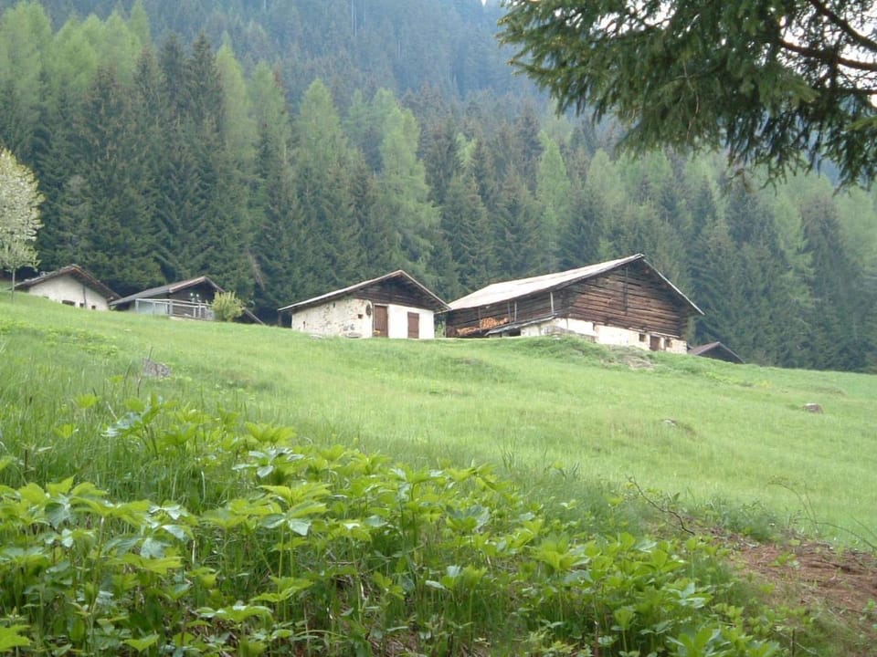 Natural landscape, Mountain view