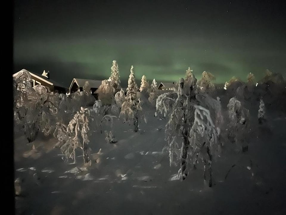 Neighbourhood, Natural landscape, Winter