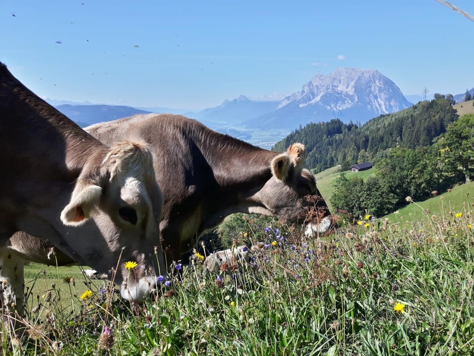 Activities, Summer, Hiking