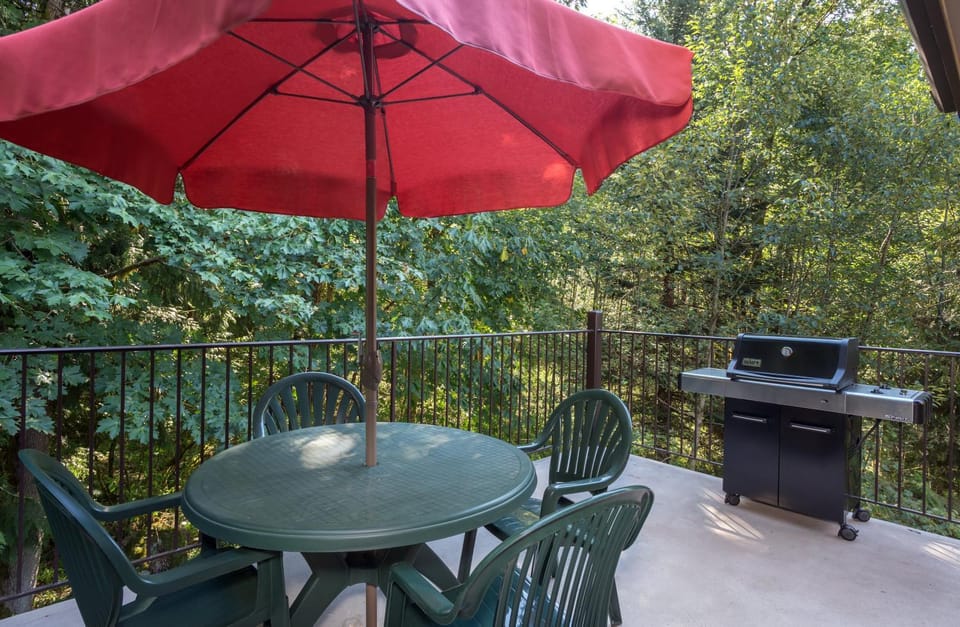 Patio, BBQ facilities, View (from property/room), Balcony/Terrace, Dining area