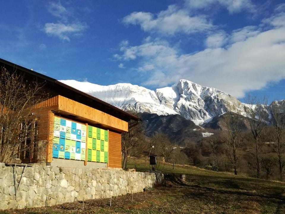 Sleeping with the bees Kozjak House in Friuli-Venezia Giulia
