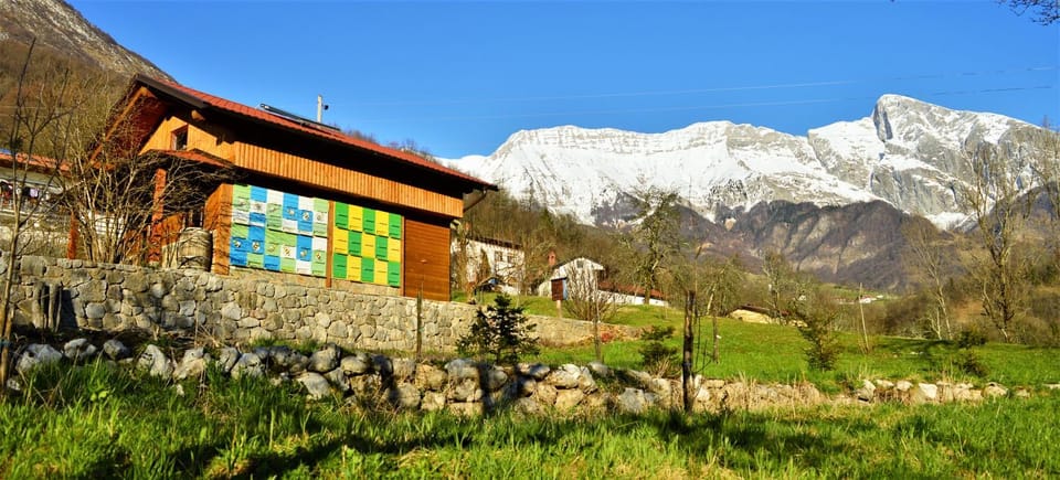 Sleeping with the bees Kozjak House in Friuli-Venezia Giulia
