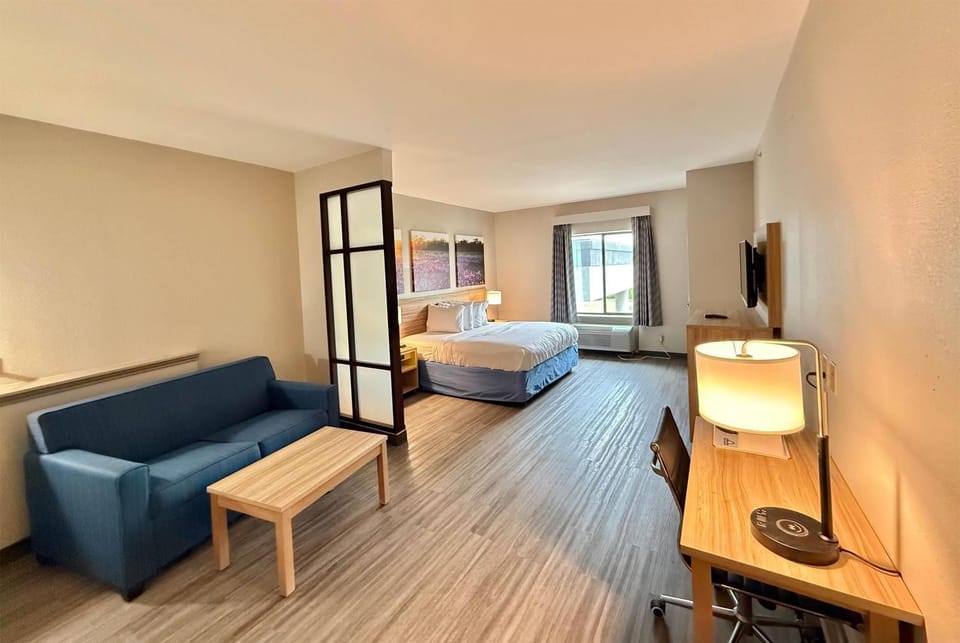 Photo of the whole room