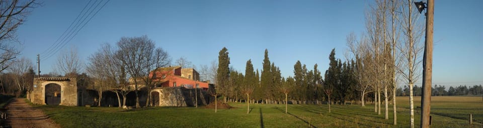 Natural landscape, Garden