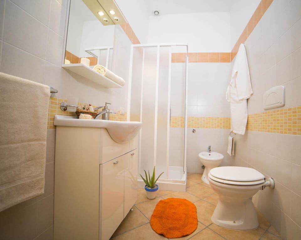 Shower, Toilet, Bathroom, bidet, towels