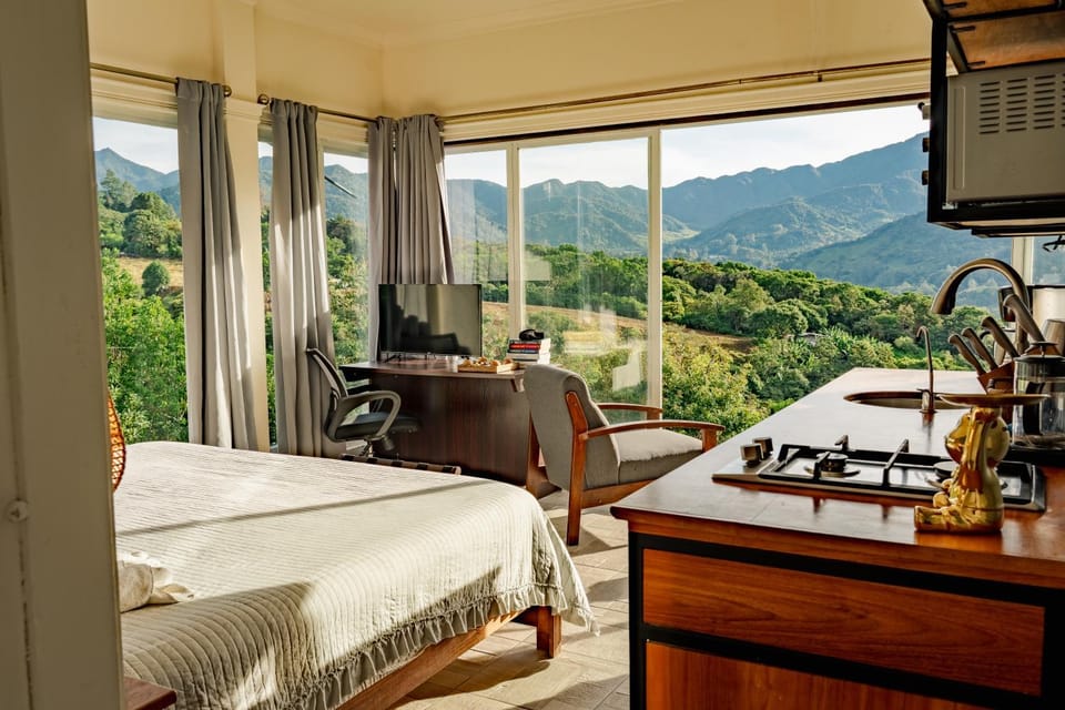 Mountain view