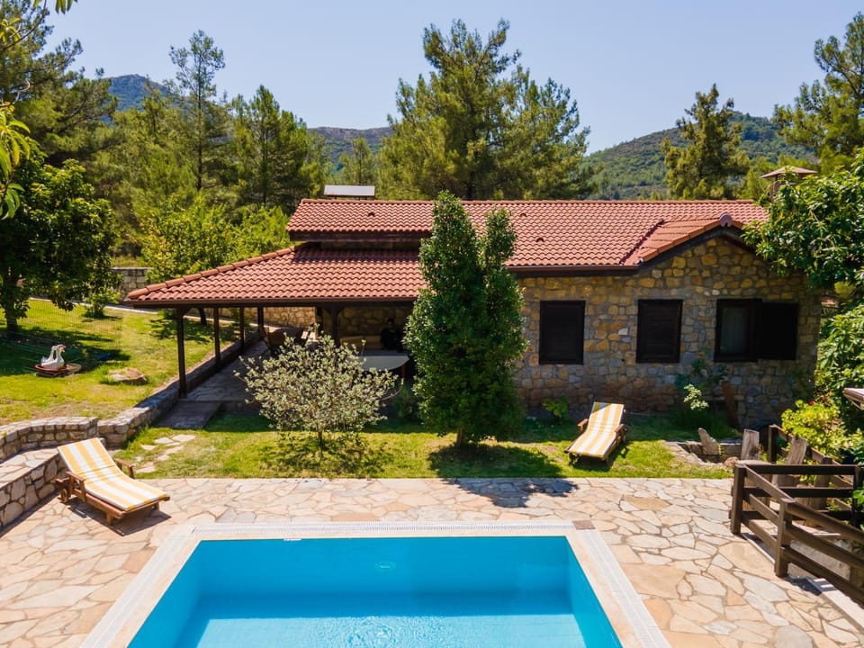 Day, Garden view, Pool view, Swimming pool