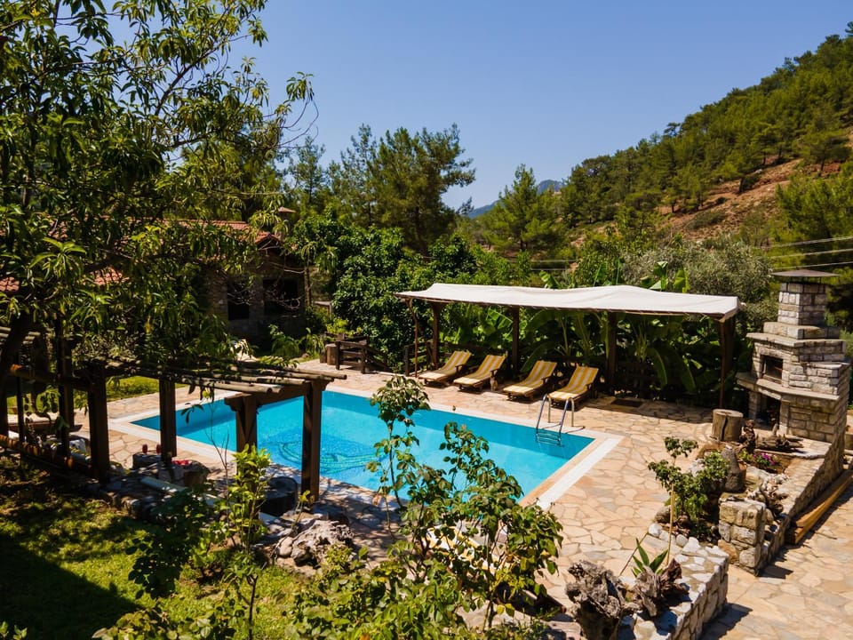 Day, Natural landscape, Garden, Garden view, Mountain view, Pool view, Swimming pool, sunbed