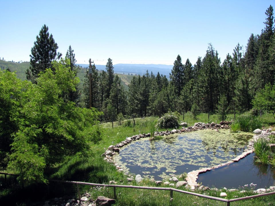 Natural landscape, Bird's eye view, Decorative detail, Mountain view