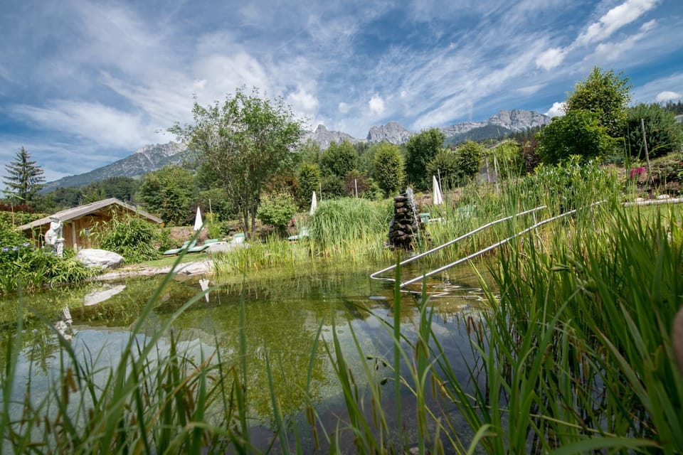 Lake view, Swimming pool