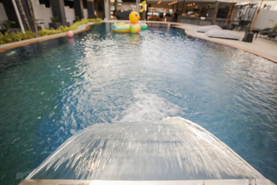 Day, Pool view, Swimming pool