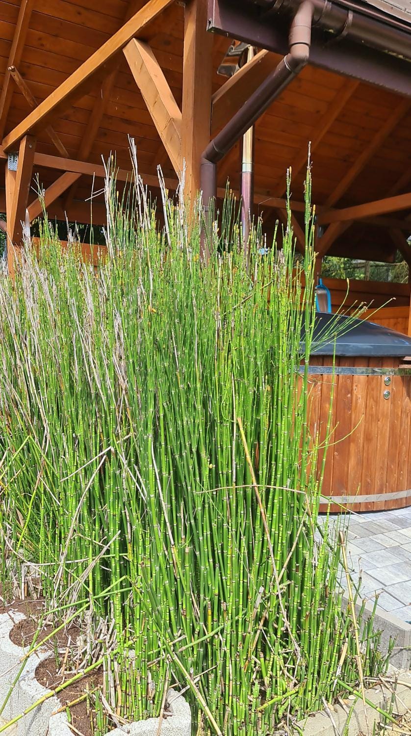 Miętowy Anioł Farm Stay in Poland