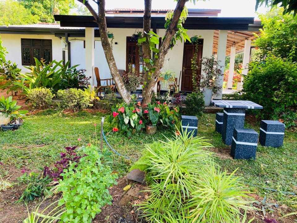 Day, Garden, Garden view