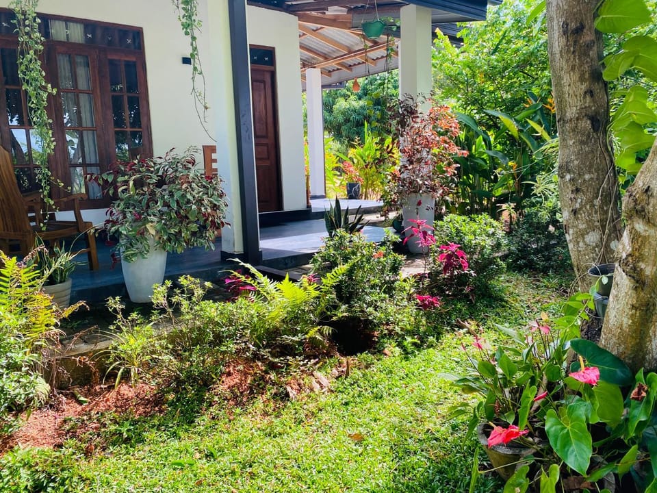 Property building, Day, Garden