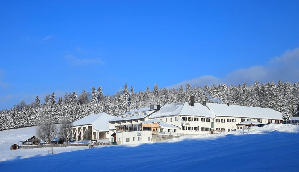 Property building, Day, Winter