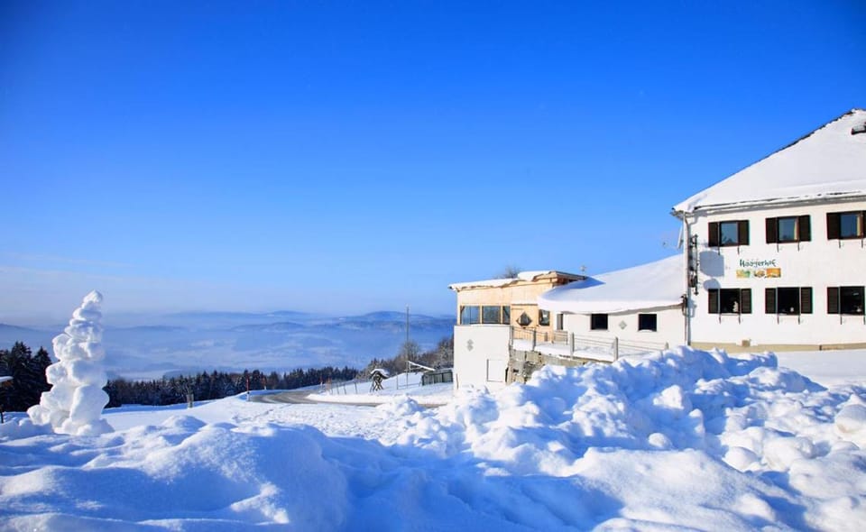 Property building, Winter