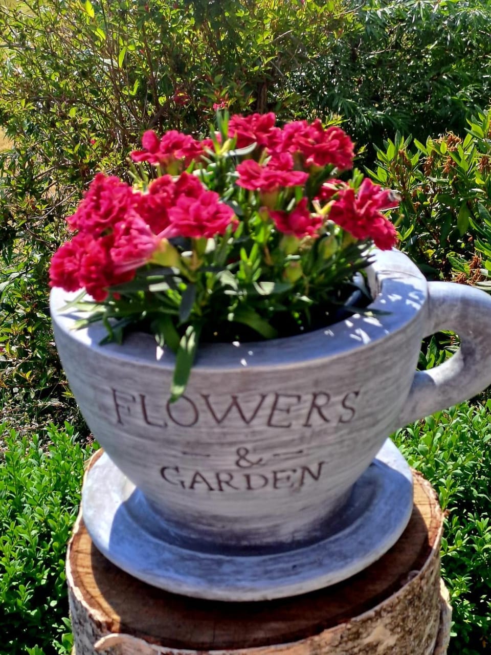 Garden view