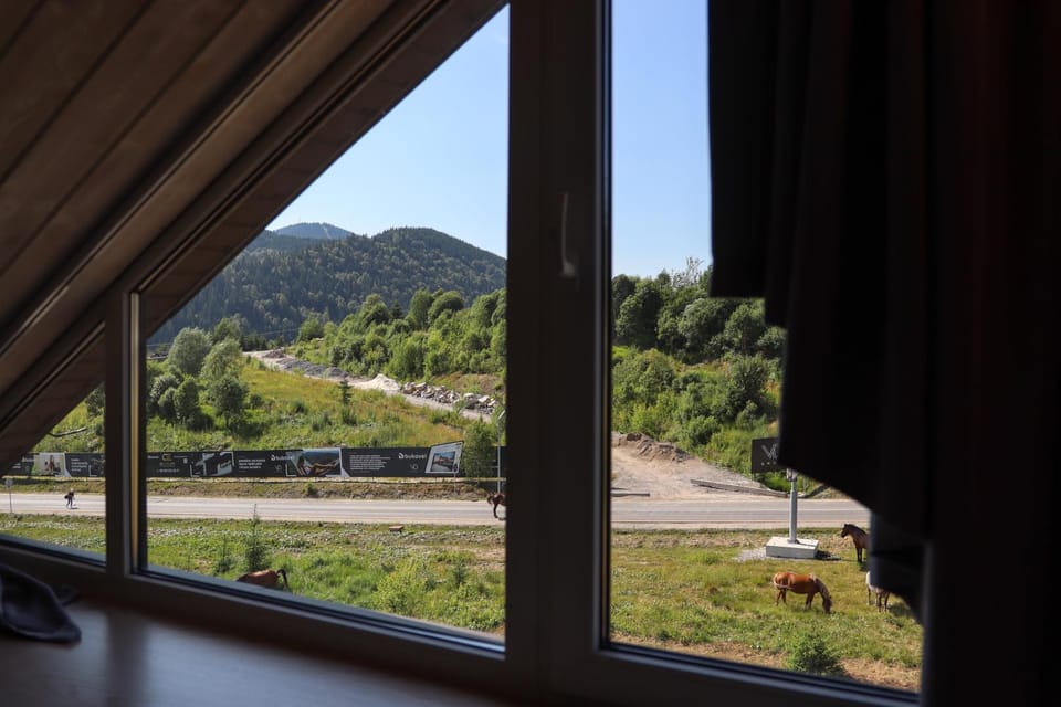 View (from property/room)