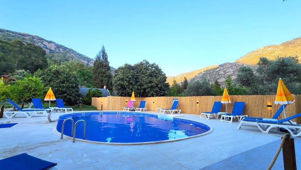 Pool view, Swimming pool, sunbed
