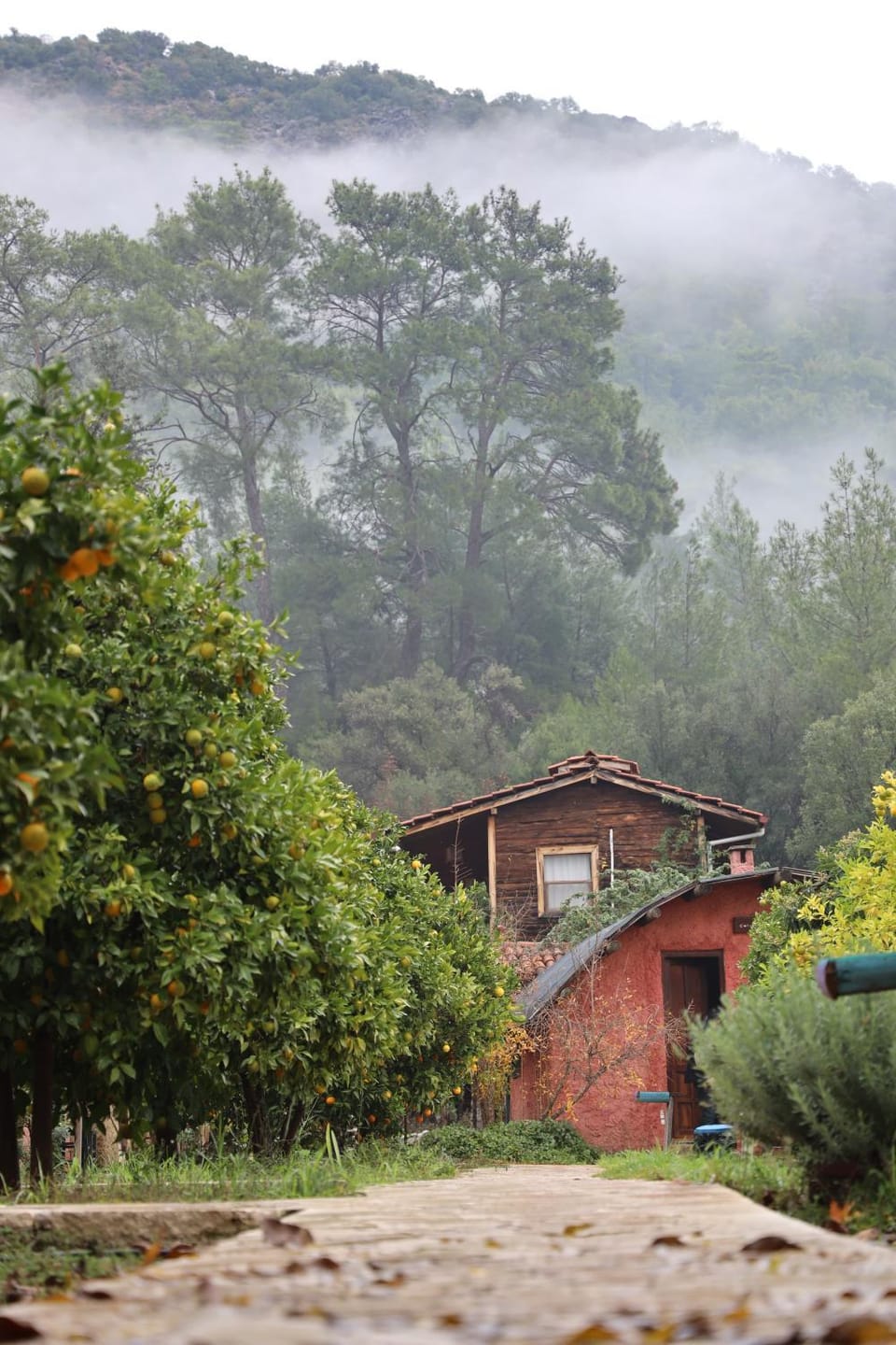 Natural landscape, Mountain view