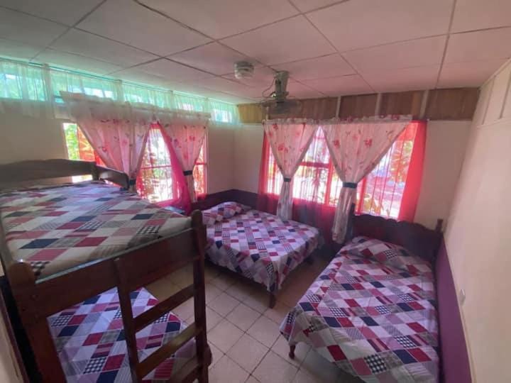 Bed, Photo of the whole room, Bedroom, bunk bed