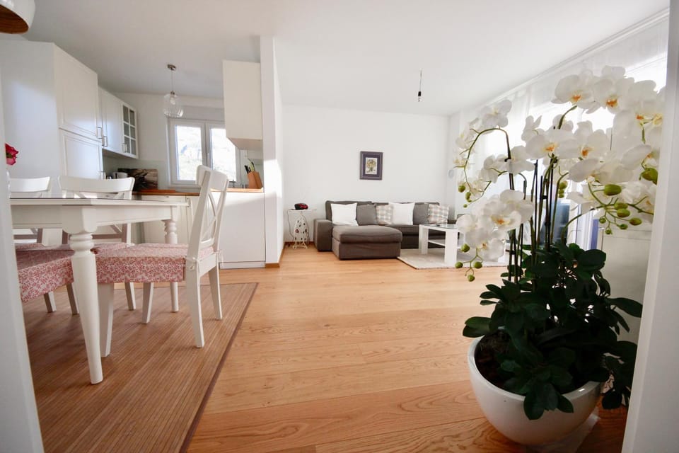 Kitchen or kitchenette, Living room, Dining area