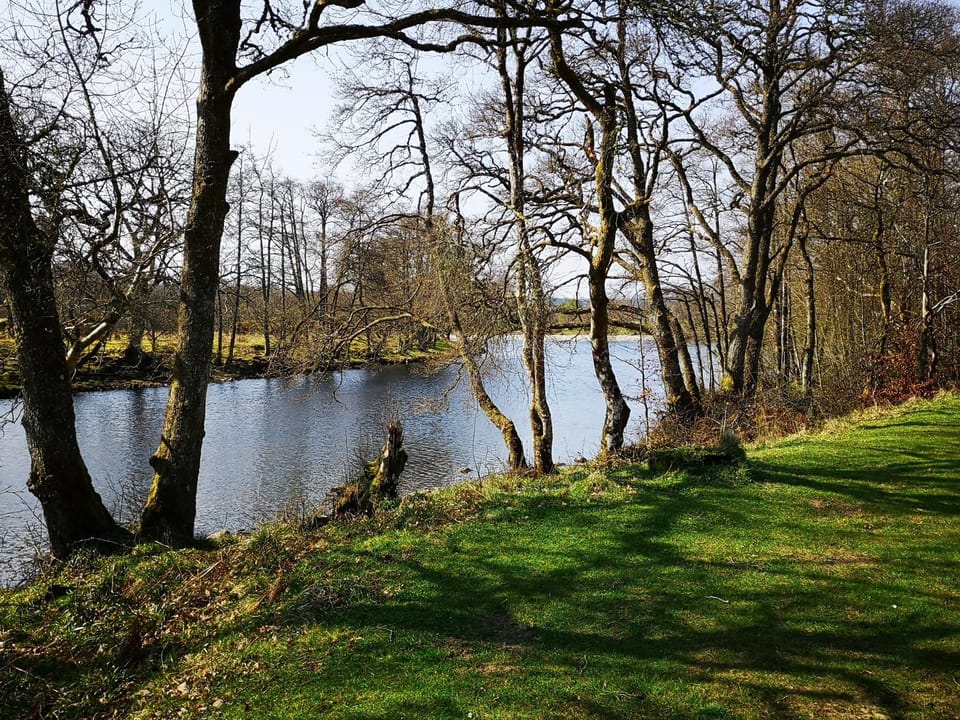 Natural landscape