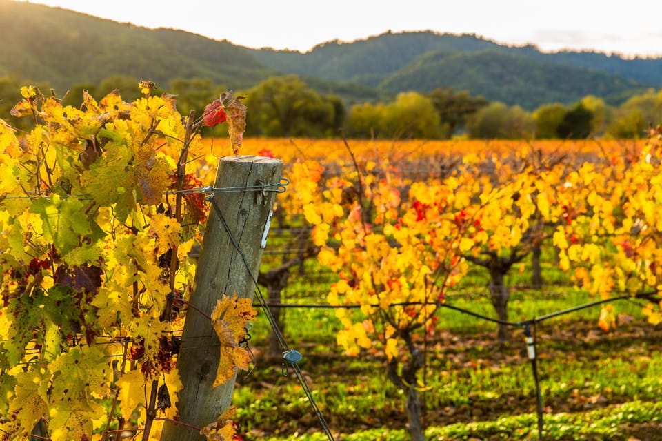 Natural landscape, Autumn