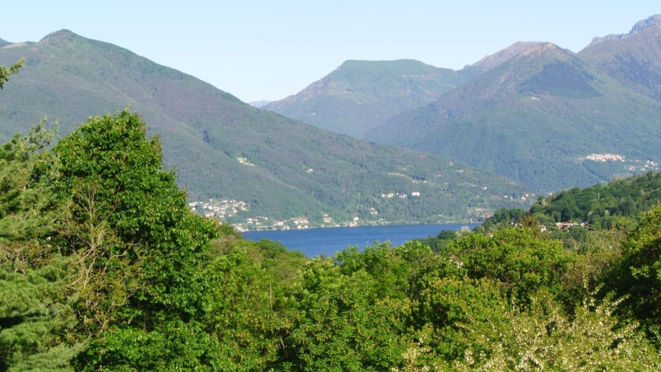 Natural landscape