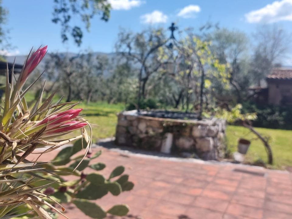 Garden, Garden view