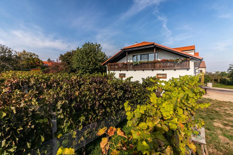 Vinařství Výmola Bed and Breakfast in South Moravian Region