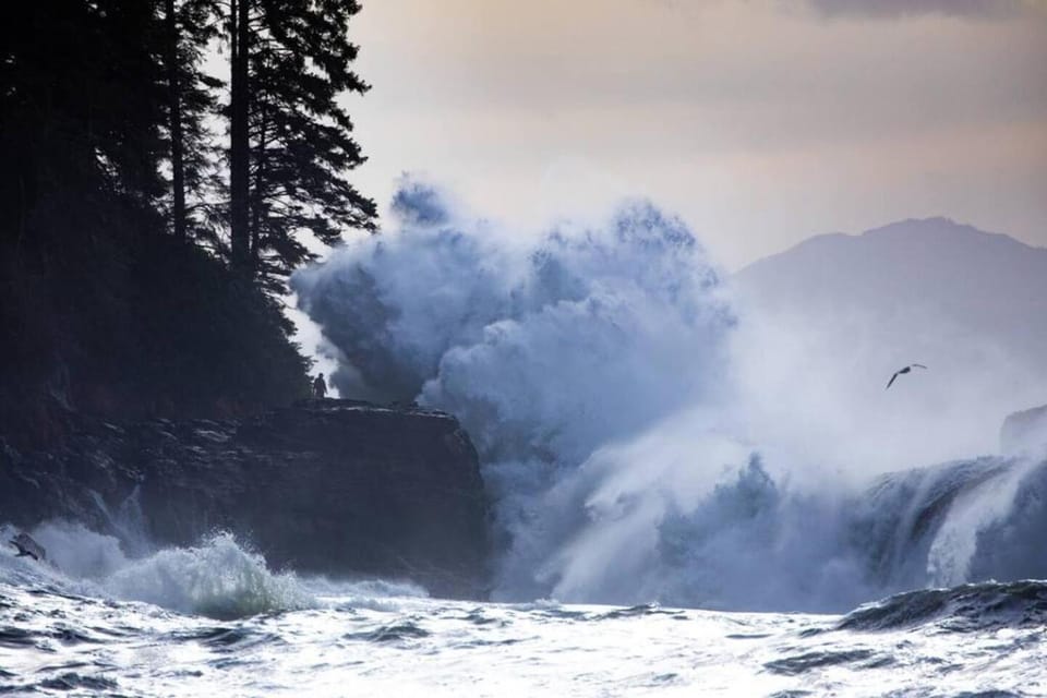 The Great Escape - Port Renfrew House in Cowichan Valley