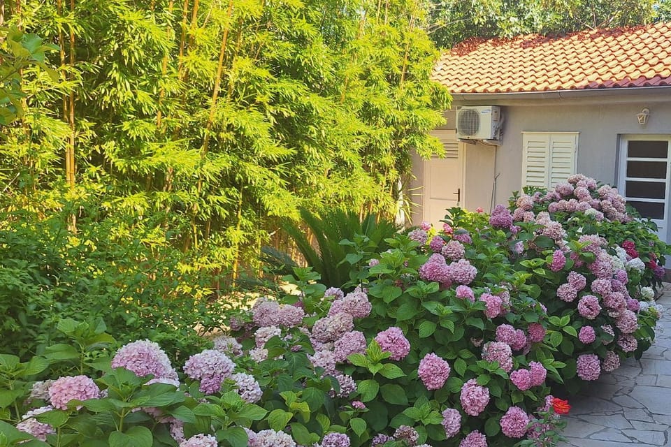 Location, children, Family