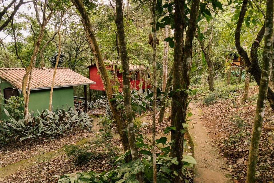 Natural landscape, Garden