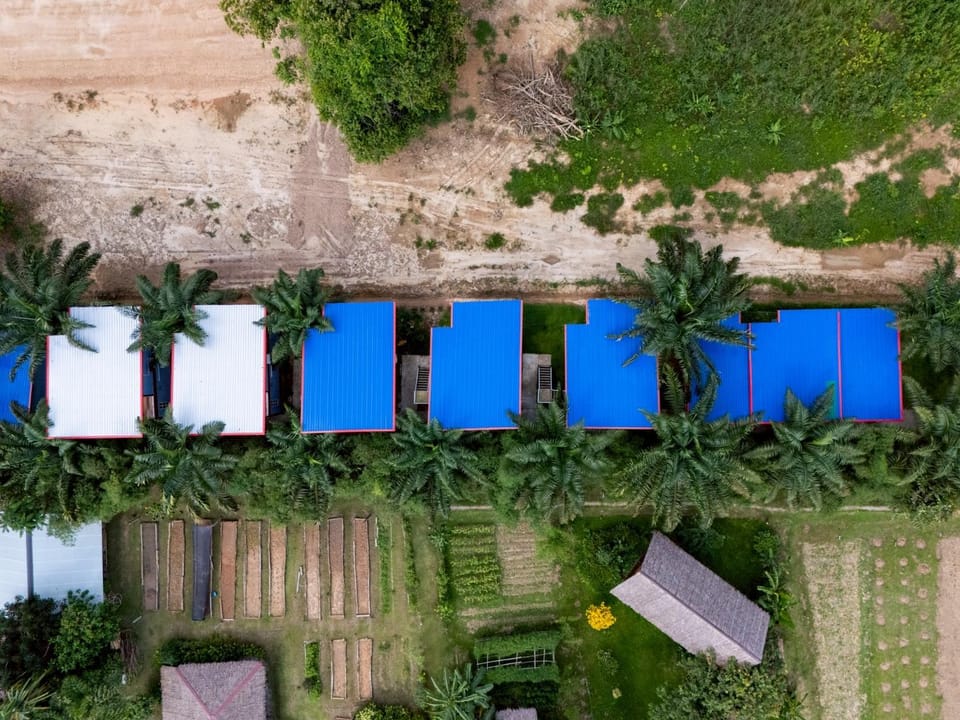 Natural landscape, Bird's eye view