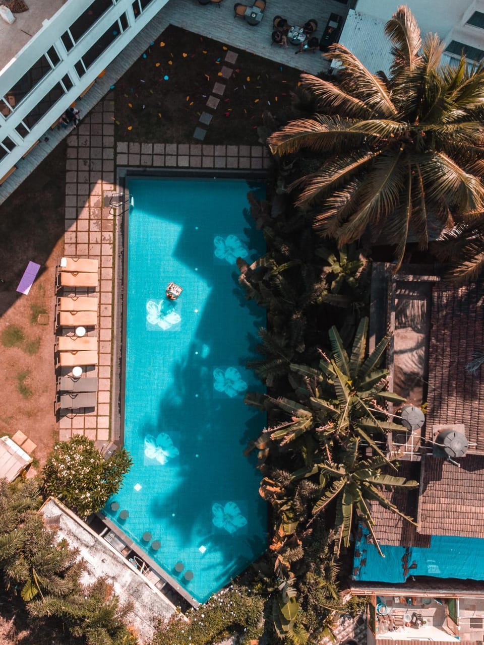 Bird's eye view, Pool view, Swimming pool