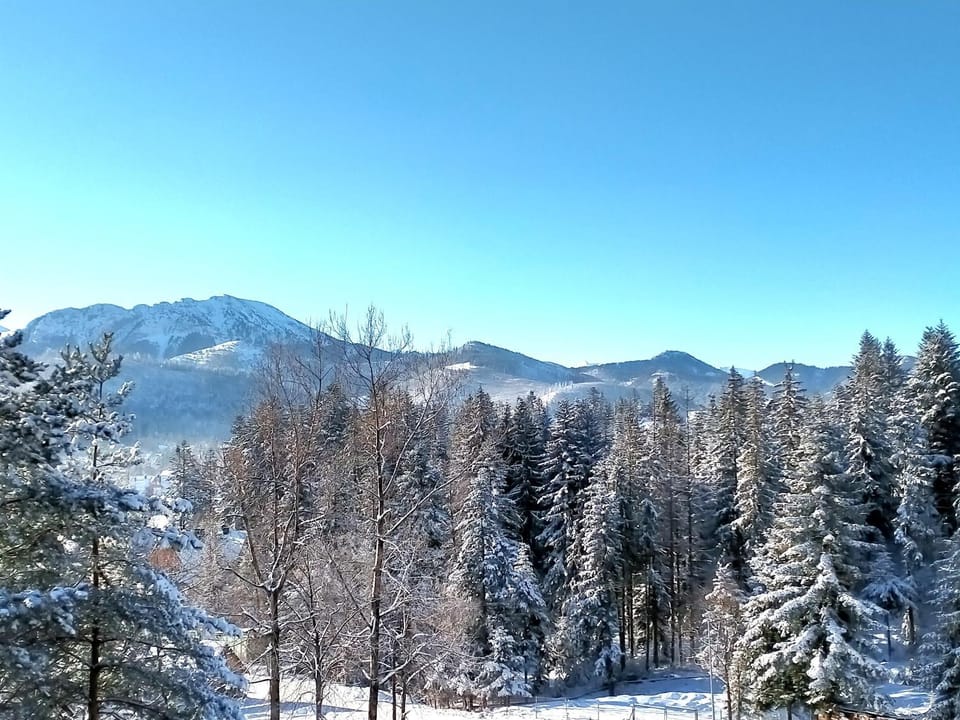 Mountain view