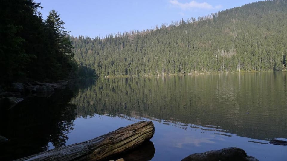 Natural landscape