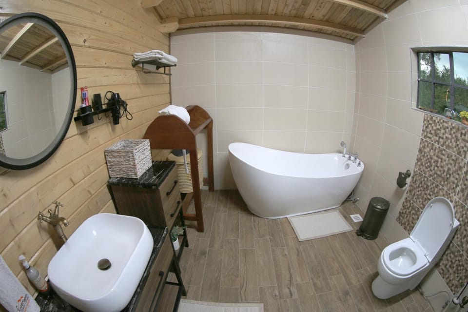 Shower, Toilet, Bathroom, Bath