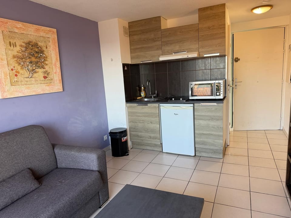 Nice Sunshine Apartment in Nice