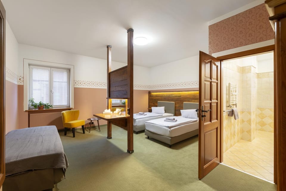 Hotel U Simla Hotel in Czechia