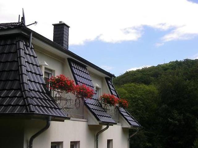 Weisses-Haus-am-Kurpark-Fewo-Waldblick Apartment in Quedlinburg