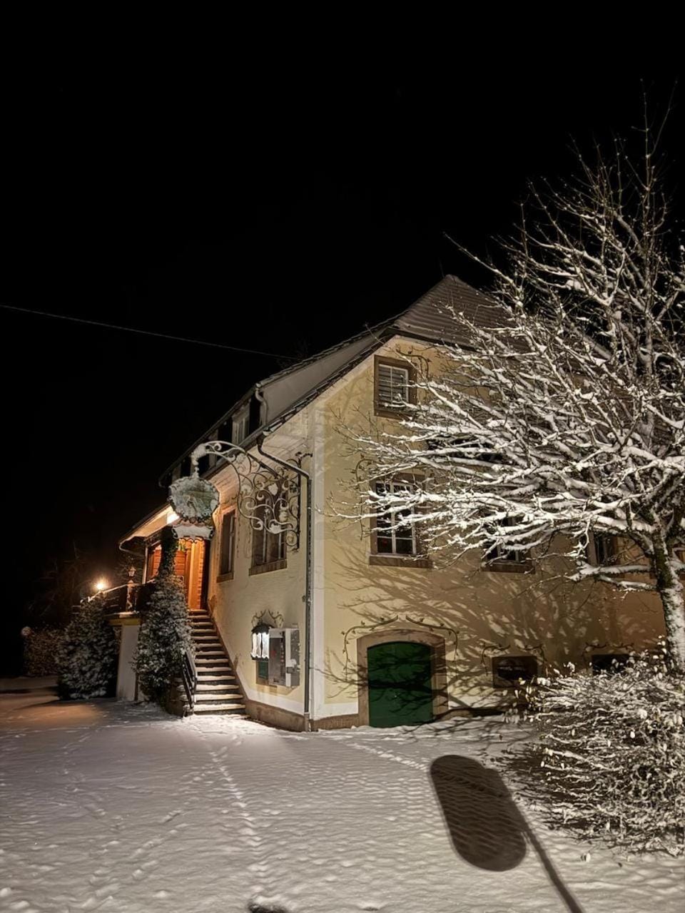 Winter