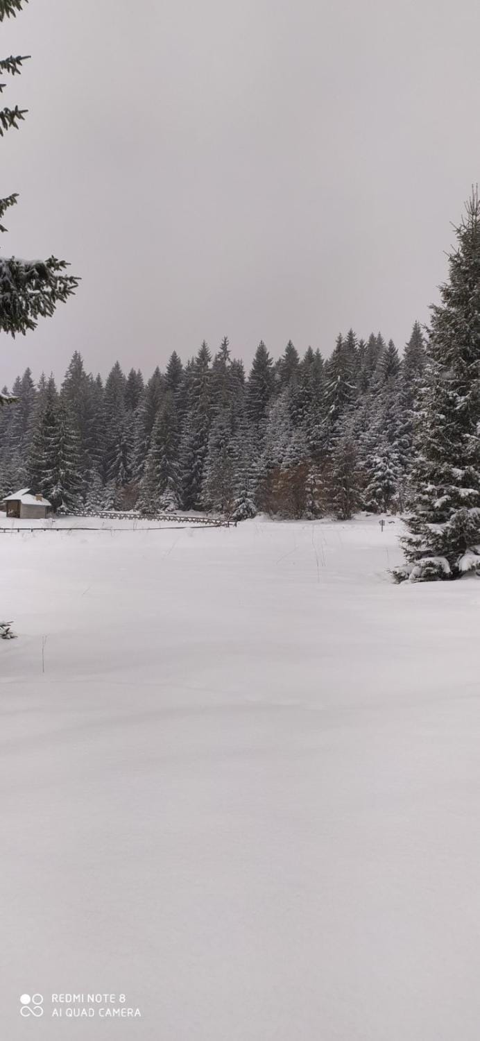Vila Balerina Nature lodge in Zlatibor District, Serbia