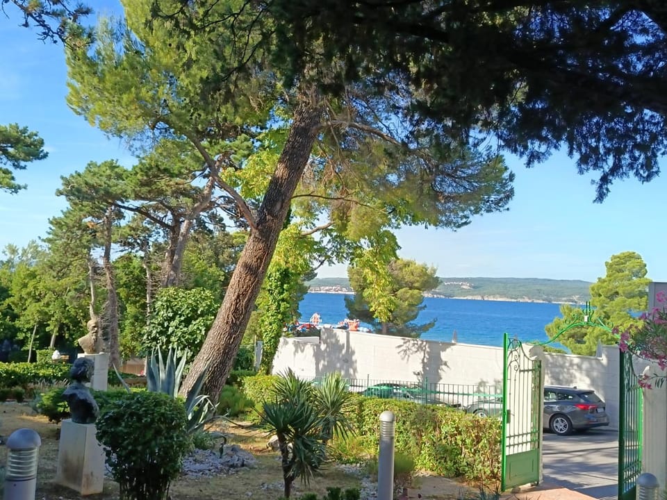 Hotel Vila Ružica- glavna zgrada i depandanse Hotel in Crikvenica